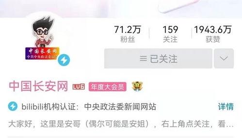 爆料洛阳网红视频播放网站,热门内容一网打尽